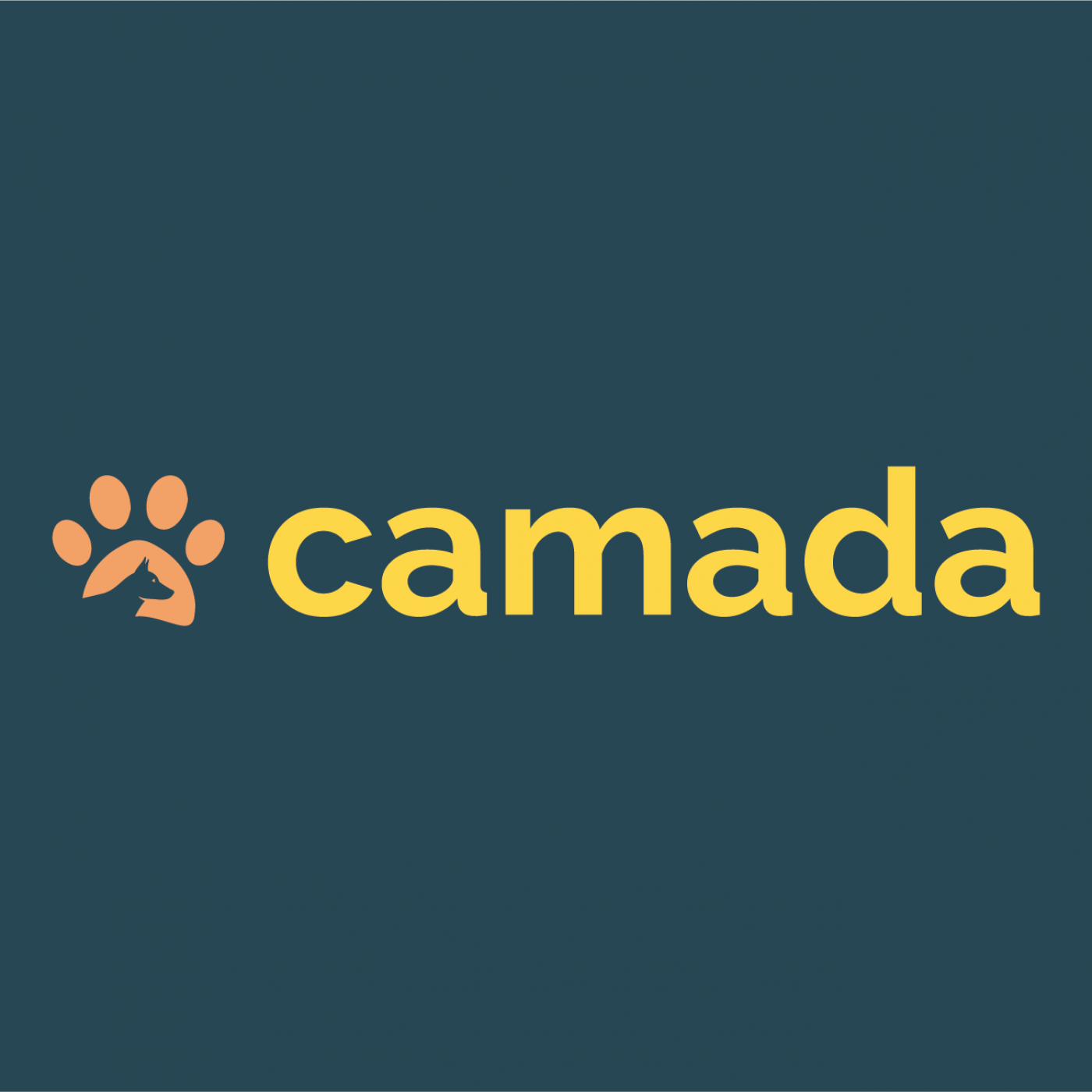 02_CAMADA
