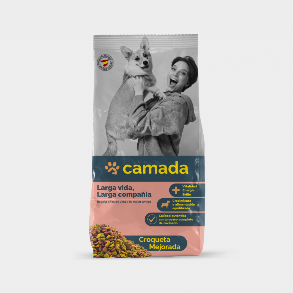 02_MOCKUP_03_CAMADA